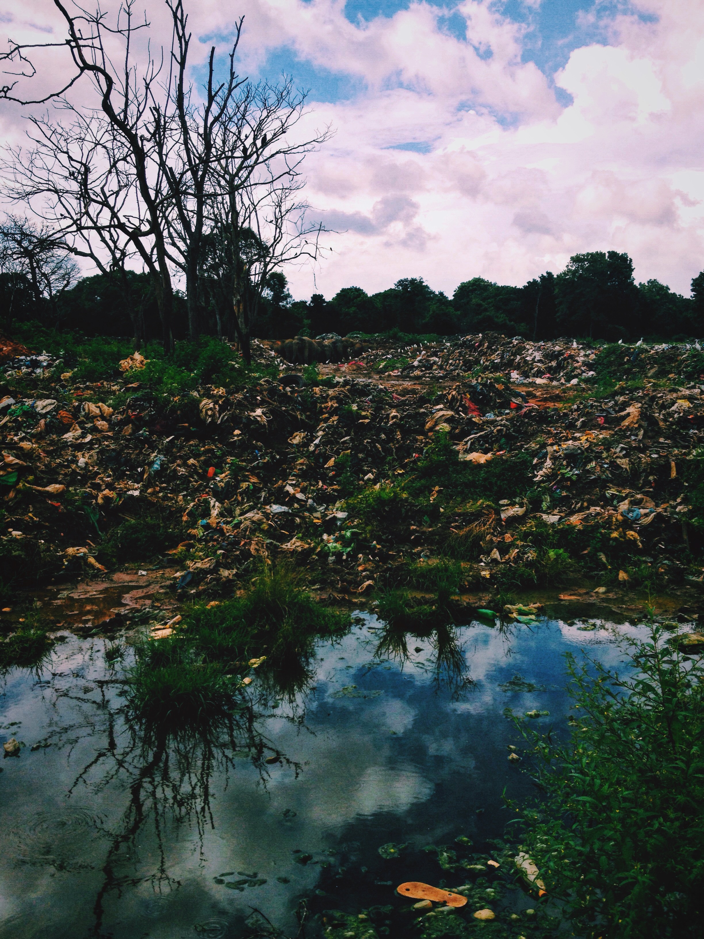 Dambulla Trash Dump